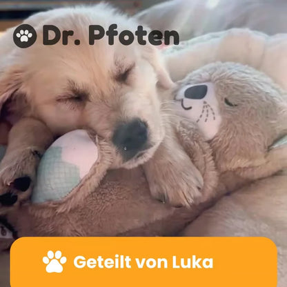 DrPfoten™ (-30%⏳)